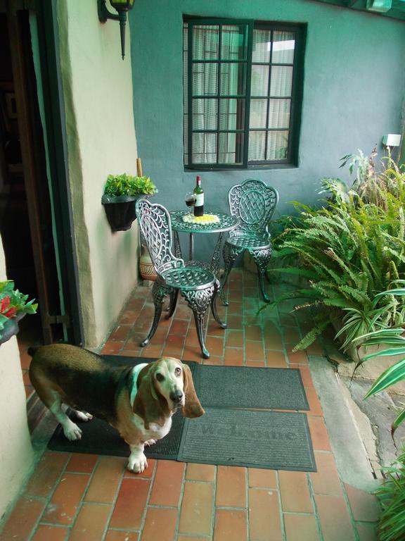 Villa Ocean Crest B&B Gansbaai Extérieur photo