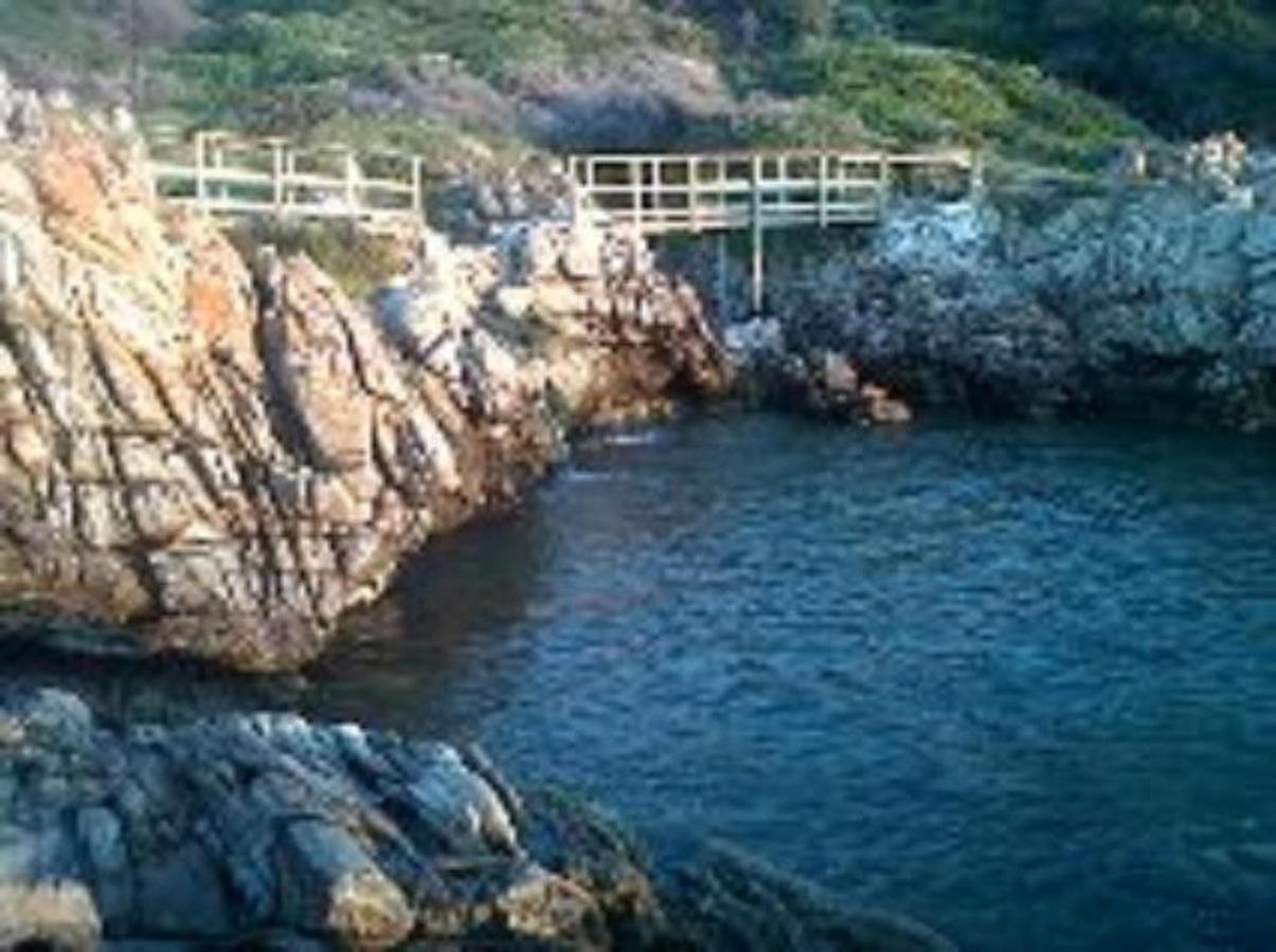 Villa Ocean Crest B&B Gansbaai Extérieur photo